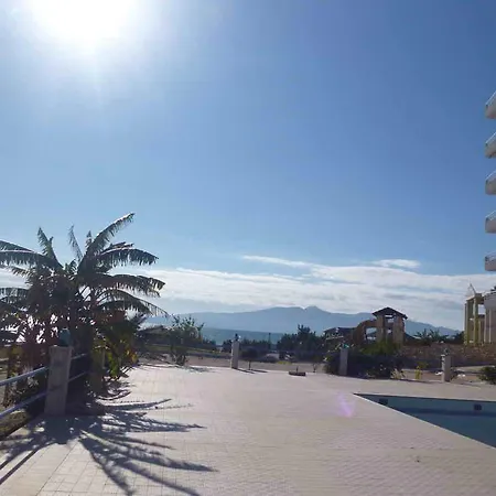 Alma Sarande